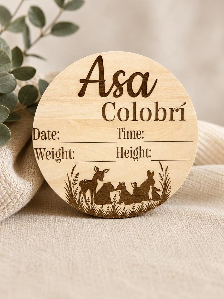 Woodland Baby Milestone Discs & Personalized Birth Announcement – Monthly Baby Milestones