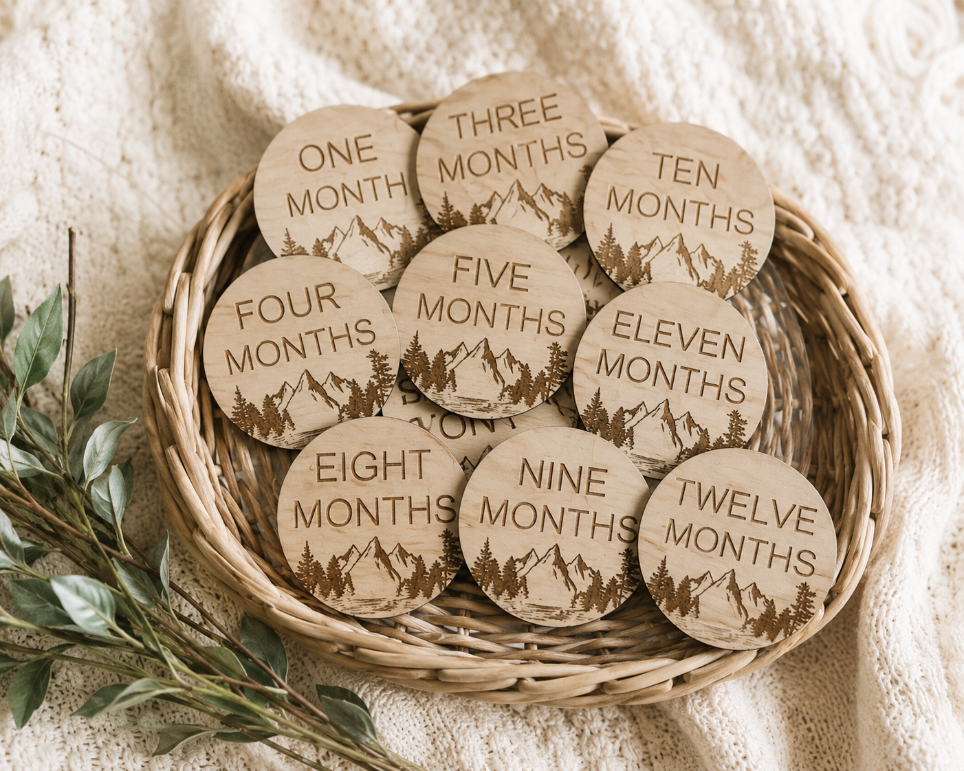 Wilderness Mountain Baby Monthly Milestone Discs – First Year Set (12)