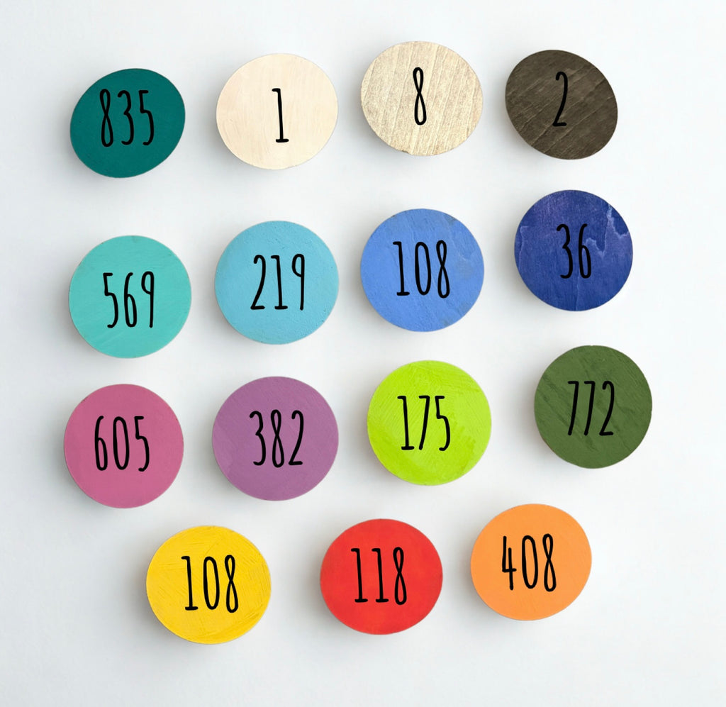 3D Monthly Milestone Wooden Discs – First Year Set (12)